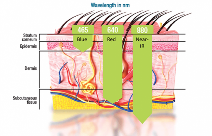 Celluma diagram